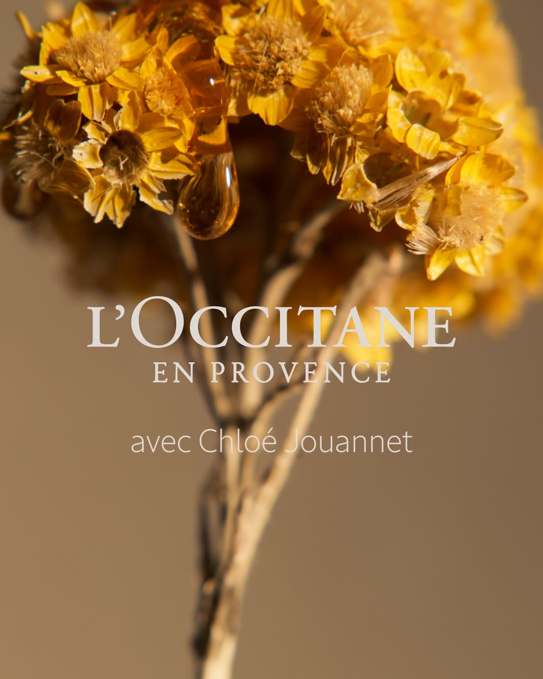 L'Occitane